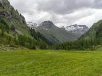 Auf der Innergschlöß Almwiese gegen Messeling, dahinter Bärenköpfe, rechts Glockenkogel